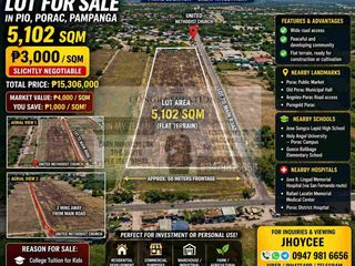 Farmlot For Sale in Pio Porac Pampanga