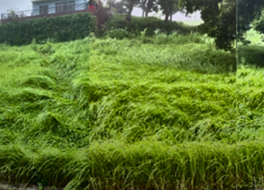 Rush Sale! Sandari Batulao 2 Lots for Sale in Batangas City