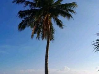 Beach Land 54,889 sqm in Balabac, Palawan For Sale