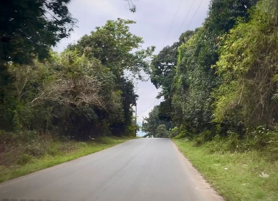 FOR SALE RAWLAND IN BATAAN NEAR THE NEW HERMOSA – SUBIC CONNECTOR BY ...