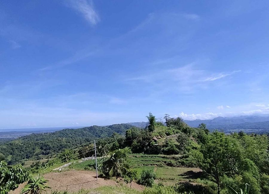 13 Hectares Farm Lot for sale in Calog, Sibalom, Antique