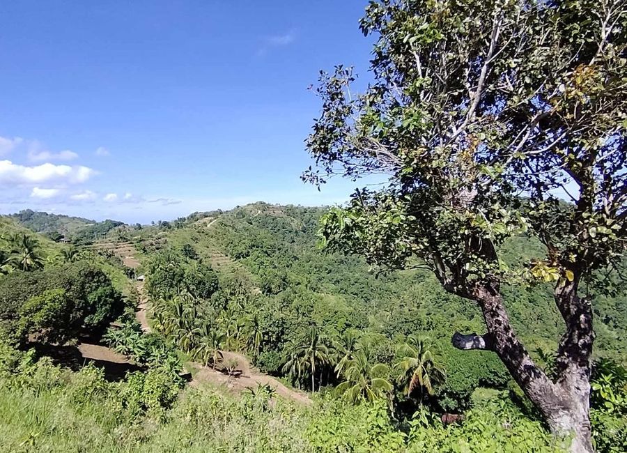 13 Hectares Farm Lot for sale in Calog, Sibalom, Antique