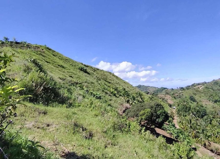 13 Hectares Farm Lot for sale in Calog, Sibalom, Antique