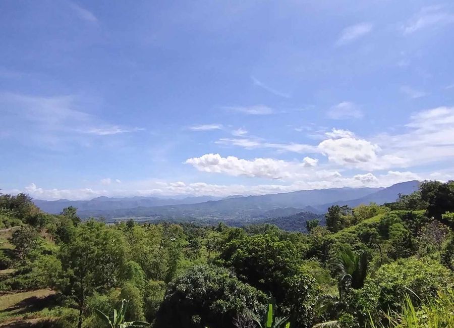 13 Hectares Farm Lot for sale in Calog, Sibalom, Antique