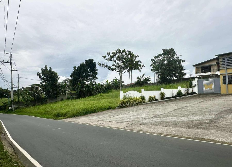 Commercial Lot for Sale in Amadeo Cavite along national road