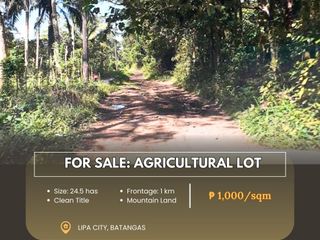 For Sale: Agricultural Lot located at Lipa City, Batangas