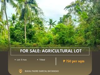 For Sale: Agricultural Lot located at Bukal Padre Garcia, Batangas