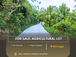 For Sale: Agricultural Lot located at Brgy. Mabunga Rosario, Batangas