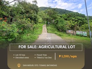 For Sale: Agricultural Lot located at San Miguel Sto. Tomas, Batangas