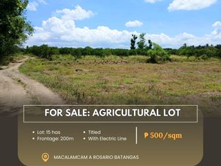 For Sale: Agricultural Lot located at Macalamcam A Rosario Batangas
