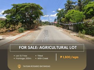 For Sale: Agricultural Lot located at Taysan Rosario Batangas