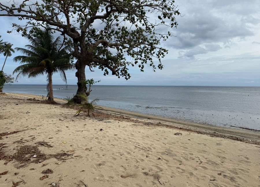 🔥 BEST DEAL: 3 BR Beach House & Lot at Playa Laiya, San Juan, Batangas