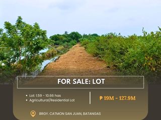 For Sale: Lot located at Brgy, Catmon San Juan, Batangas