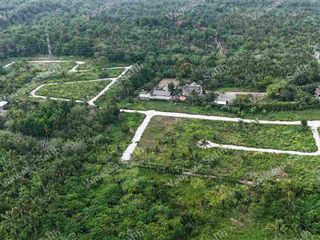 CORNER RESIDENTIAL FARM LOT IN MENDEZ CAVITE - TITLED LOT