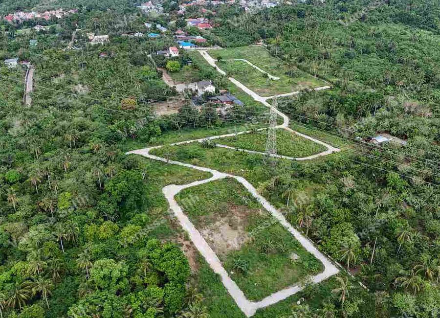 RESIFARM LOT IN MENDEZ CAVITE