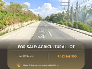 For Sale: Agricultural Lot located at Subukin San Juan, Batangas