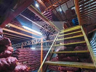 Onion Cold Storage for Sale