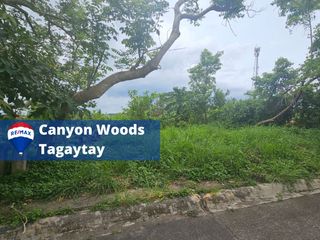 Canyon Woods 351-sqm NE Lot—Basement-Ready, 2F Taal View
