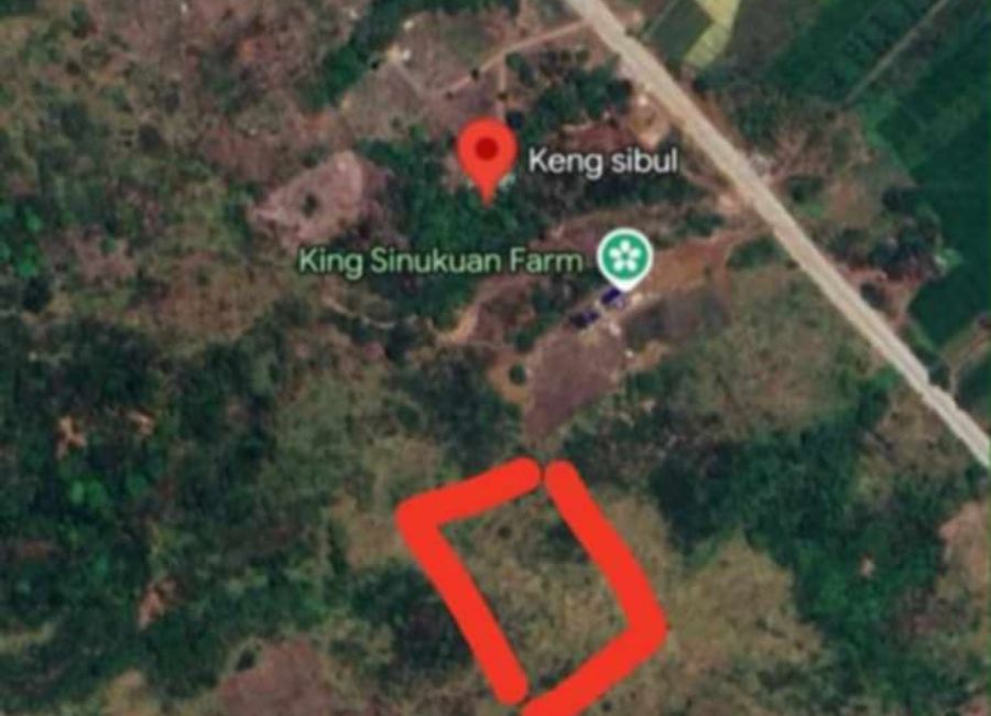 Farm Lot 14,830 sqm Clean title for Sale in San Mateo, Arayat