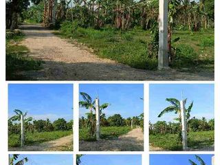 Farm Lot in Candelaria Quezon