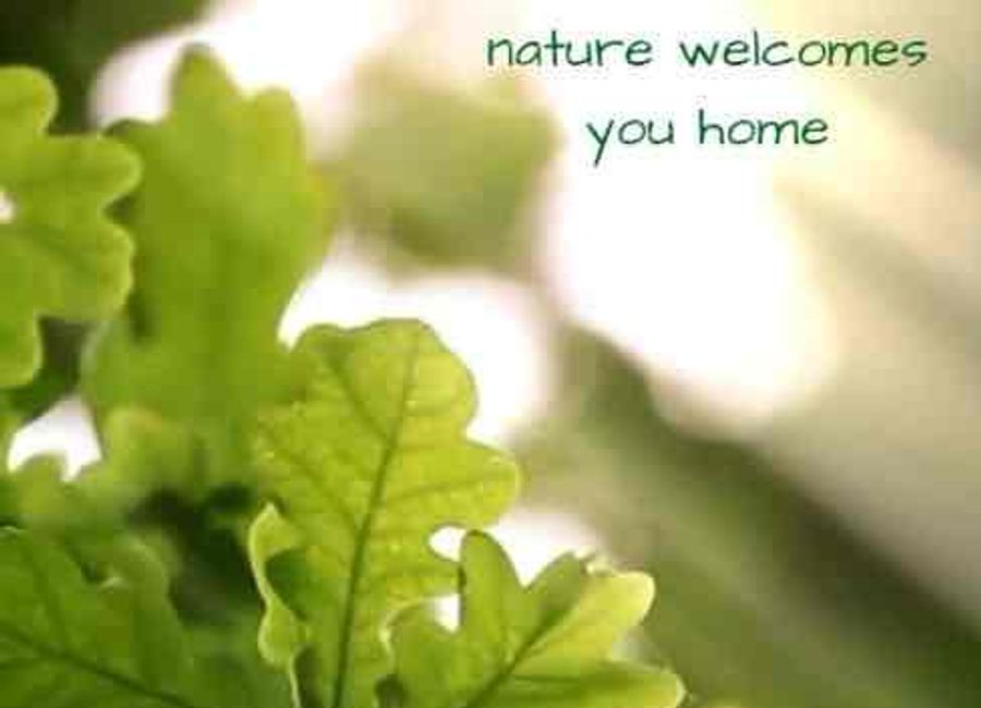 House and Lot in Alviera Alveo in Pampanga