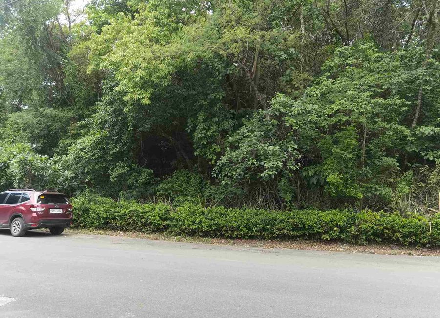 951 SQM Vacant Residential Lot at Beverly Hills- Taytay