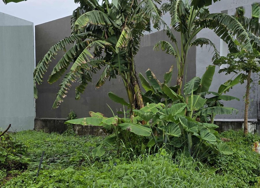 Commercial Lot for Sale at Gen. Trias City near Antero Soriano Hiway Commercial Areas