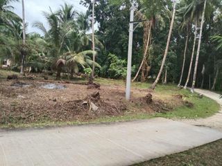 For Sale: Corner Lot Along Concrete Road Loay, Bohol I BOHOLANA REALTY