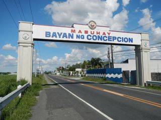 Vacant Lot 2,784 sqm Clean Title for Sale in  Sta. Cruz, Concepcion, Tarlac