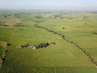 For Sale: 20.7-ha Agricultural Lot in Isabela