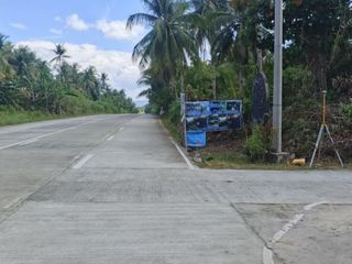 Commercial Lot for sale in Siargao, 2mins drive to Beach