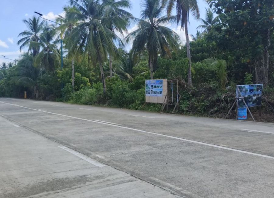 Residential Lot for Sale - Siargao Surigao Del Norte