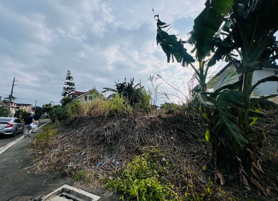 FOR SALE - 224 SQM LOT AT STA. ROSA HEIGHTS
