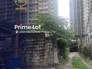 Prime 334-sqm Redevelopment Lot in Pasig City | Near C-5 & Ortigas