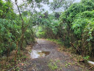 FOR SALE - Mixed Use Industrial or Residential Lot in Taytay, Rizal