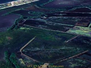 FOR SALE: PRIME 35-HECTARE FISHPOND IN LUCENA CITY