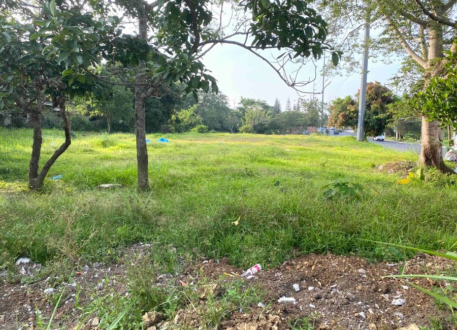 COMMERCIAL LOTS WITH FRONTAGE TO CRISANTO de los REYES AVENUE, AMADEO ...