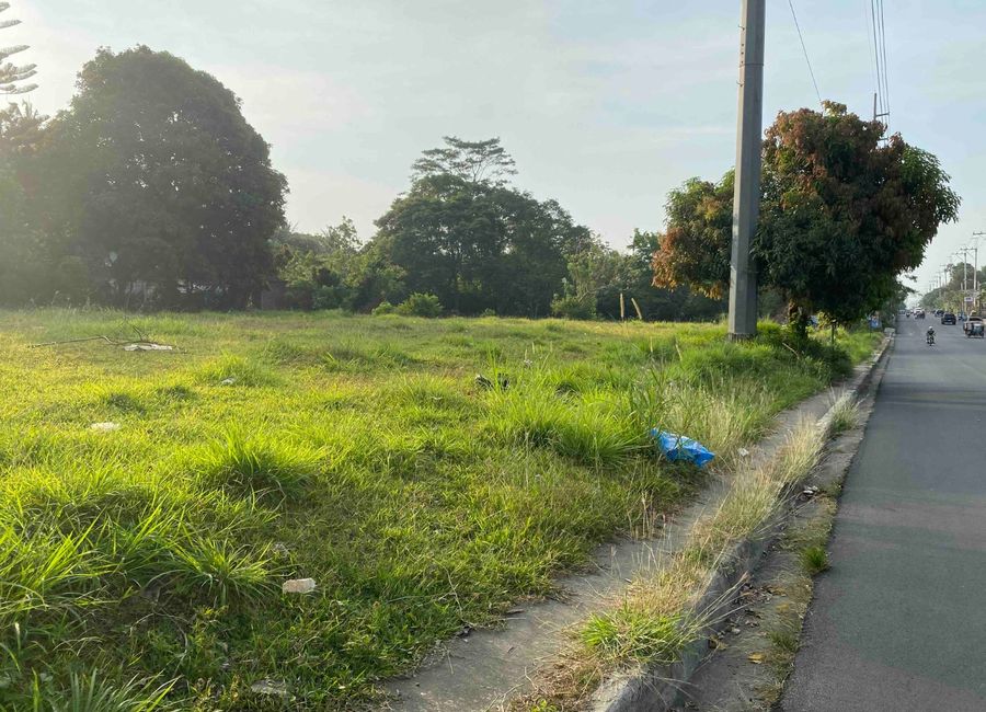 COMMERCIAL LOTS WITH FRONTAGE TO CRISANTO de los REYES AVENUE, AMADEO ...