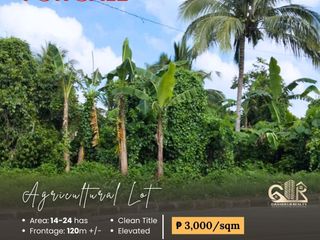 For Sale: Agri Lot located at Lipa -Balete