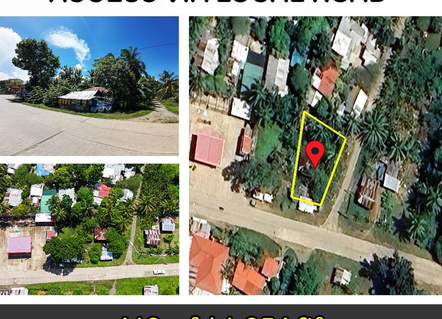 413 m2 / 4,445 ft2 | A Prime Coastal Estate Near Fish Port & Beaches