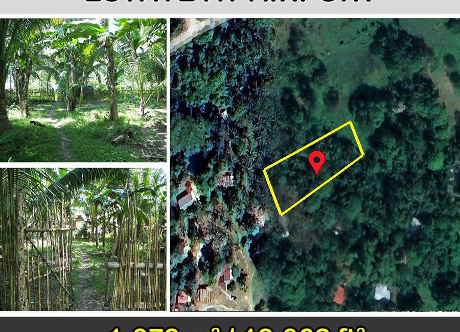 1,678 m2 / 18,062 ft2 | Central Commercial Estate at Airport