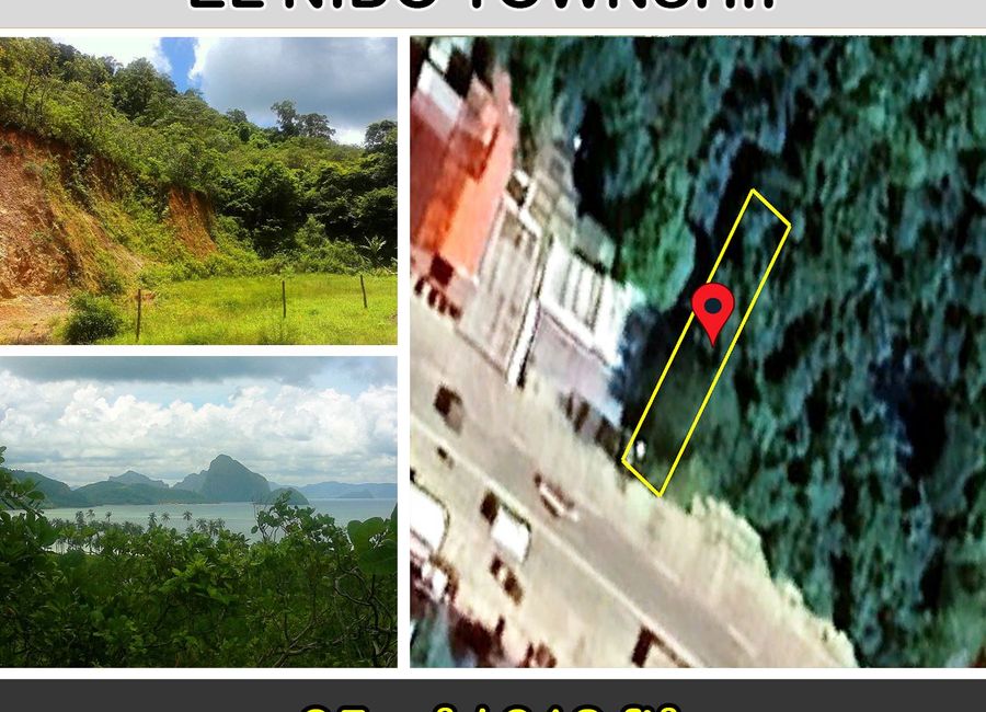 95 m2 / 312 ft2 | Commercial Estate near El Nido Township