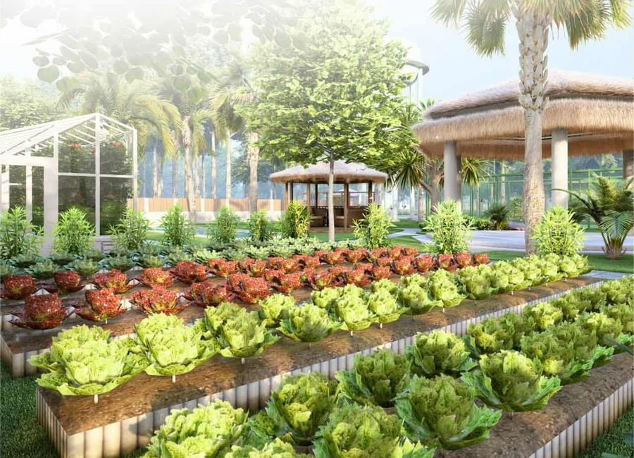 Agrihood Communites 200 sqm Clean title for Sale in Tarlac