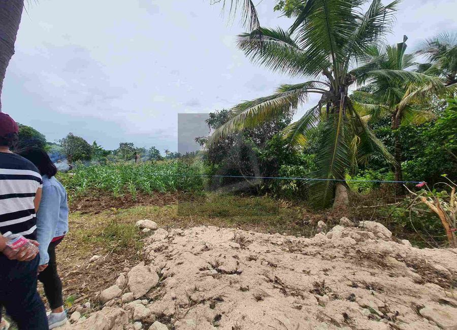 Commercial lot for sale in Daanbantayan North Cebu, Philippines.