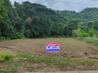 FOR SALE: 1,919 sqm Raw Land in Bawanta, Bauang, La Union