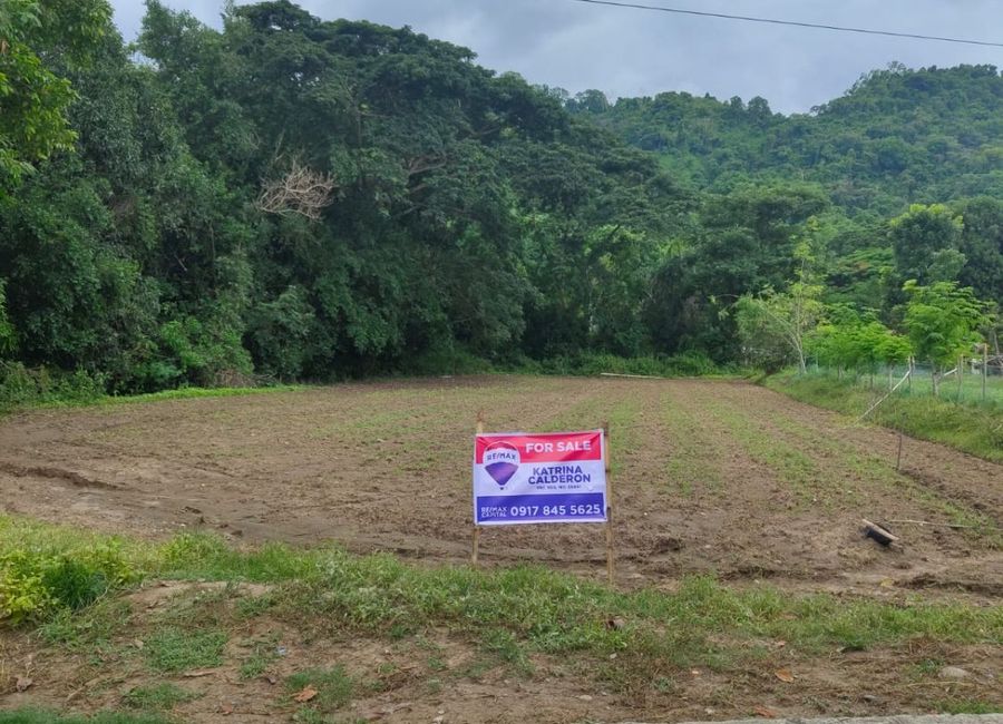 FOR SALE: 1,919 sqm Raw Land in Bawanta, Bauang, La Union