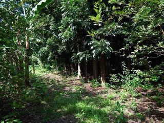 Commercial lot Sto Tomas Batangas