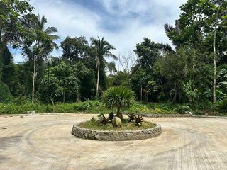 Affordable farm lot  for sale with fruits bearing and cold weather