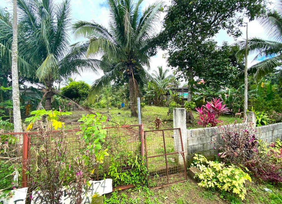 BEST IN CLASS! - BEAUTIFUL QUIET RESIDENTIAL LOT 1227sqm. Amadeo, Cavite