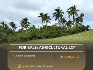 For Sale: Agricultural Lot located at Calantas Rosario Batangas
